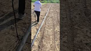 sprinkler system oscillating sprinkler irrigation control shorts supplier lifehack crop land [upl. by Oleg893]