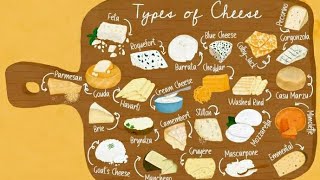 Classification of Cheese Types Of Cheese  Hotel management tutorial [upl. by Aleda418]