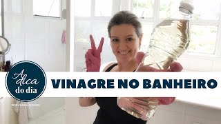 6 FORMAS DE LIMPAR O BANHEIRO COM VINAGRE RECEITAS  FLÃVIA FERRARI [upl. by Yznyl]