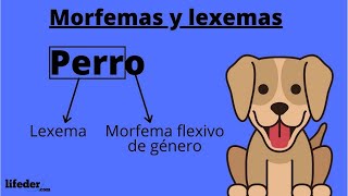 El MORFEMA ¿Qué es y qué tipos hay Con ejemplos sencillos👨‍🏫✍️ [upl. by Matusow541]