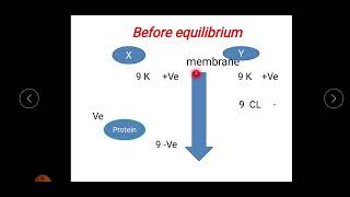 practical physiology of normal structure module Part 4 2025  Donnans effect [upl. by Mcconnell92]