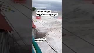 Storm Surge Bagyong Pepito na naman sa catanduanes😭🇵🇭 storm stormsurge bagyong pepito typhoon [upl. by Manlove]