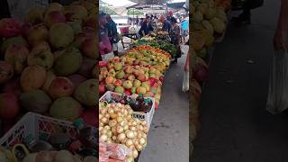 feira de Canapi [upl. by Latoya]