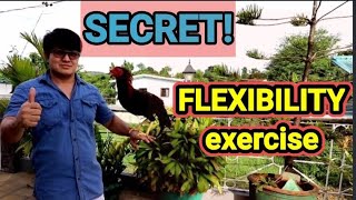 SECRET EXERCISE or STRETCHING para sa mga manok para mas maging FLEXIBLE at maintain ang FLEXIBILITY [upl. by Oilejor]