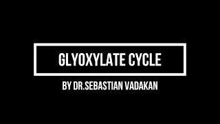 Glyoxylate cycle [upl. by Edelsten]