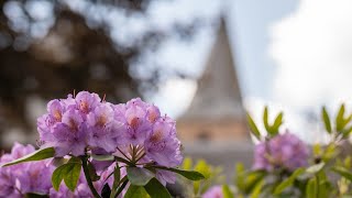 Hervormde Kerk Oene  Morgendienst 22 september 2024 930  Live Kerkdienst [upl. by Nwahsak622]