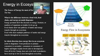 Ecosystems Matter Cycling and Energy Flow  Objective 1 MatterEnergy Transfer Ecological Diagrams [upl. by Baumbaugh758]