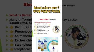 Bacteria in blood culture test in hindishorts [upl. by Eelyam67]