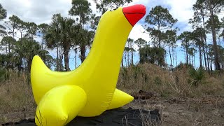 Larger than Life RideOn Duck from Inflatable World [upl. by Olimpia]