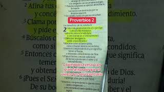 Proverbios 2 🙏🏻🙏🏻 versiculodelabiblia biblia palabradedios hagamosviralajesus amen [upl. by Ydoc]