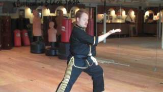 Lesson 2  Lazily Tying Your Coat Chen Tai Chi [upl. by Izaak]