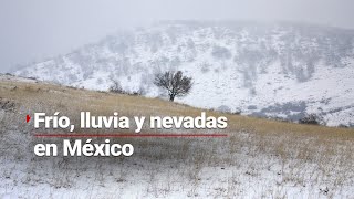 Hermosas postales blancas  Reportan nevadas en Chihuahua [upl. by Mazurek196]