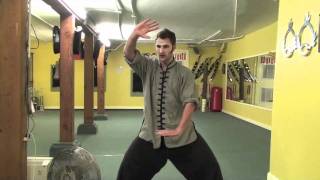 Choy Li Fut Kung Fu Waist Rotation Exercise [upl. by Mohorva]