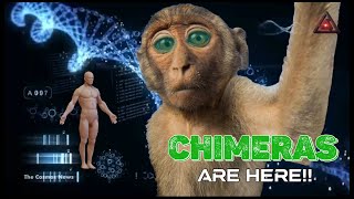 Glowing Fingertips And Green Eyes FirstofItsKind Monkey Chimera Born in China TheCosmosNews [upl. by Suravart618]