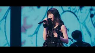 Aimer  Ivy Ivy Ivy quot10th Anniversary Final quotCycle de 10 ansquot LIVE [upl. by Enram]