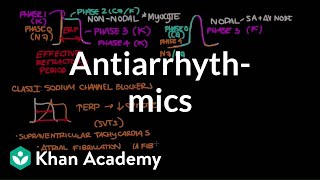 Antiarrhythmics  Circulatory System and Disease  NCLEXRN  Khan Academy [upl. by Carman990]