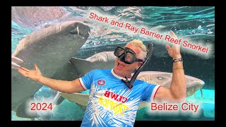 Cruise Port Snorkeling  Shark and Ray Barrier Reef Snorkeling  Belize City [upl. by Artaed]