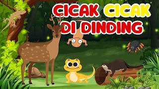 Belajar Menyanyi Cicak Cicak di Dinding  Lagu Anak Indonesia [upl. by Mariken]