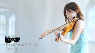 Roderich Paesold PA802J ローデリヒ・ペゾルト PA802J バイオリン紹介・演奏【Violinist：漆原直美】 [upl. by Orose507]