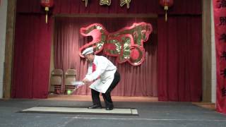 Chinese Acrobat Performance Part 1  CACC Chinese Festival 2010 [upl. by Harvard525]