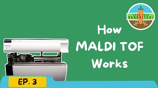 Grow Your Dendrites EP 3 How MALDI TOF Works [upl. by Cleo]