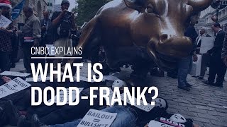 What is DoddFrank  CNBC Explains [upl. by Llewkcor]