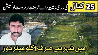 Land For Sale in Punjab Pakistan  Agriculture land for sale Cheap land for sale [upl. by Enomyar]