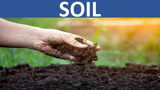 SOIL  FORMATION OF SOIL  TYPES OF SOIL  COMPOSITION OF SOIL  SOIL PROFILE  SOIL CONSERVATION [upl. by Nojid]