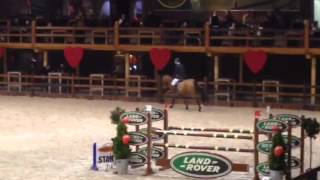 Cliff Z by Canturano 7 yrs old Gelding [upl. by Lorette]