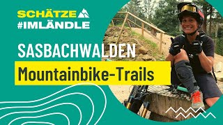 Sasbachwalden MountainbikeTrail [upl. by Tutto]