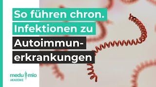 Fibromyalgie So führen chron Infektionen zu Autoimmunerkrankungen 🧫 Annette Johnson [upl. by Aiym]