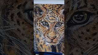 The leopard 🐆 drawing is finished leopard leoparddrawing animaldrawings colorpencildrawing [upl. by Onibla]