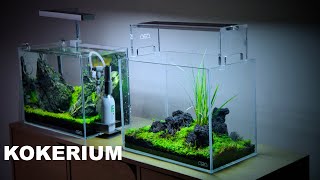 KOKERIUM  Short Tutorial of Nano Moss Terrarium [upl. by Dewees421]