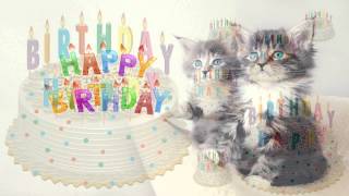 Happy Birthday Song in Child Voice with Images of Cats and Cakes [upl. by Kursh284]