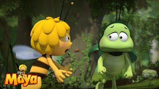 Rules are important  Maya the Bee🐝🍯🐝 [upl. by Pardoes]