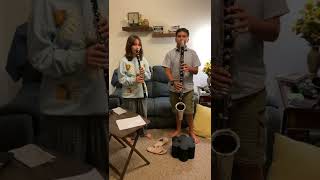 7 nation army with bass clarinet and clarinet [upl. by Martine273]