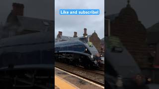 Sir Nigel Gresley passing Helsby trainvideos railway trainspotting trainsatspeed steamtrain [upl. by Yenreit]