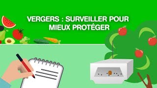 Vergers  surveiller pour mieux protéger [upl. by Kaden]