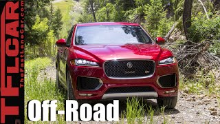 2017 Jaguar FPace Mild OffRoad Review A New Cat for all Seasons [upl. by Etnoval]