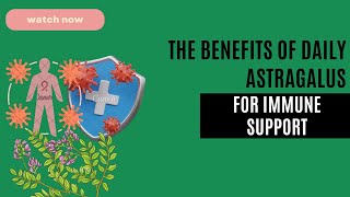 The Benefits of Daily Astragalus for Immune Support [upl. by Enner156]