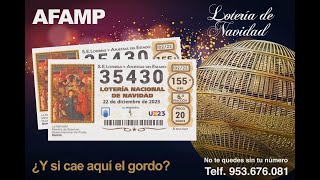 35430  Lotería de Navidad de AFAMP 2023 [upl. by Queridas864]