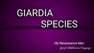 Giardia lambia Biology of Giardia intestinalis [upl. by Ellenej398]