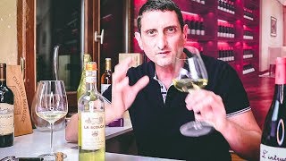 La Scolca Gavi Crisp Italian White Wine  Tasting with Julien Ep39 [upl. by Sosthena]