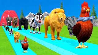 Paint amp Animals CowGorrilaElephantSheepDeerTiger Fountain Crossing Transformation Cartoon [upl. by Yann712]