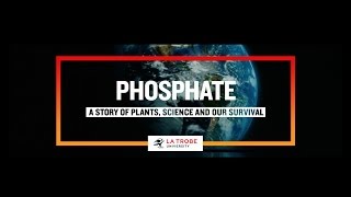 Phosphate a story of plants science and our survival [upl. by Midian826]