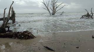 High Tide at Hammock Island SC 1 [upl. by Masry]