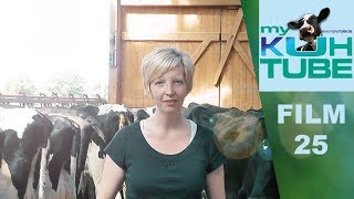 Wenn die Kühe gesund sind ist auch der Job viel leichter  My KuhTube Film25 [upl. by Sheelah970]