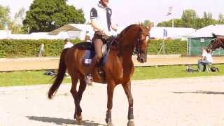 Dressage at Hickstead Warmup Ring [upl. by Annalla984]