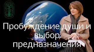 Пробуждение души и выбор предназначения [upl. by Oiratno]