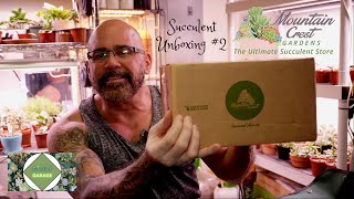 Oct 13 2023  Mountain Crest Gardens Succulent Unboxing 2 [upl. by Ydnelg]